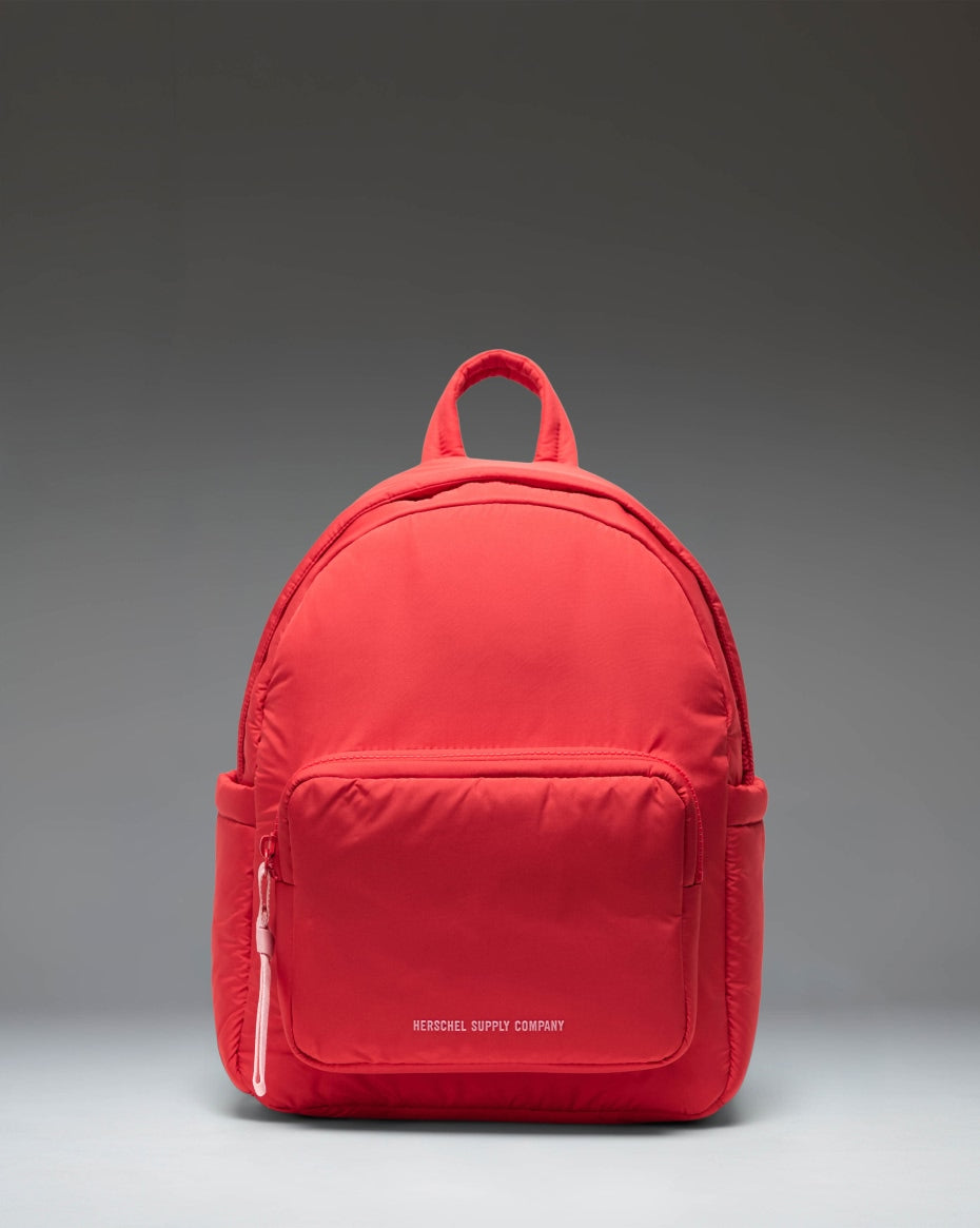 herschel-supply-cloudform-backpack image 4